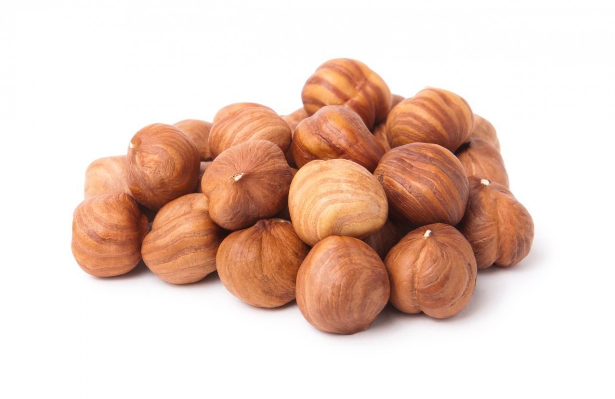 Свежий фундук